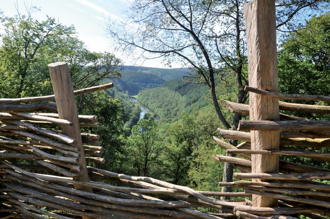 Apri l'immagine dalla struttura a schermo intero