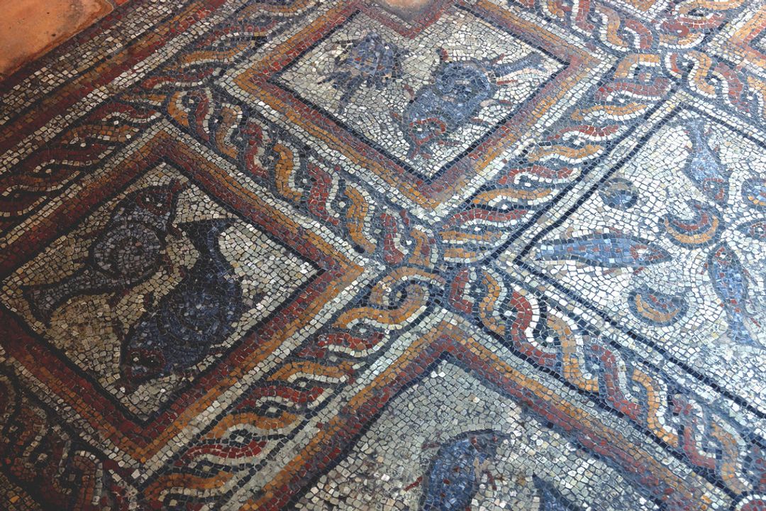 Ouvrir l'image de l'établissement en plein écran