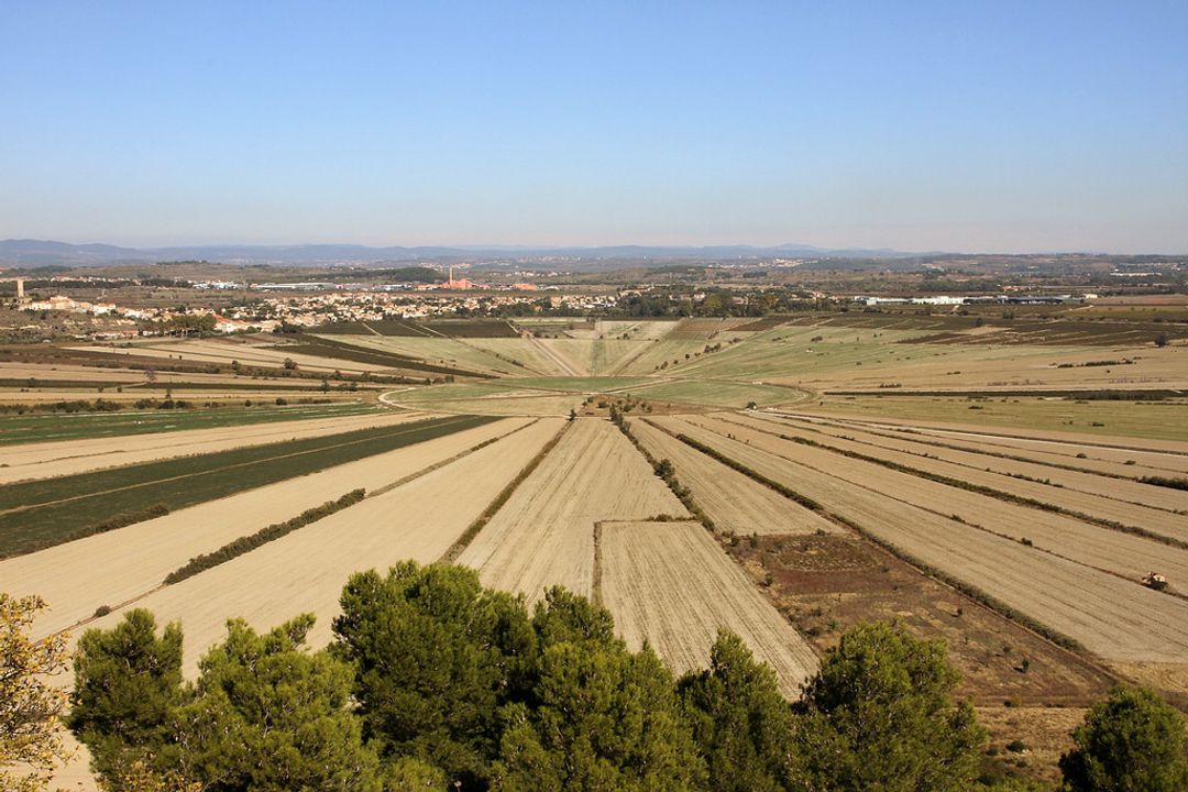 Öffnen Sie das Institutionsbild im Vollbildmodus