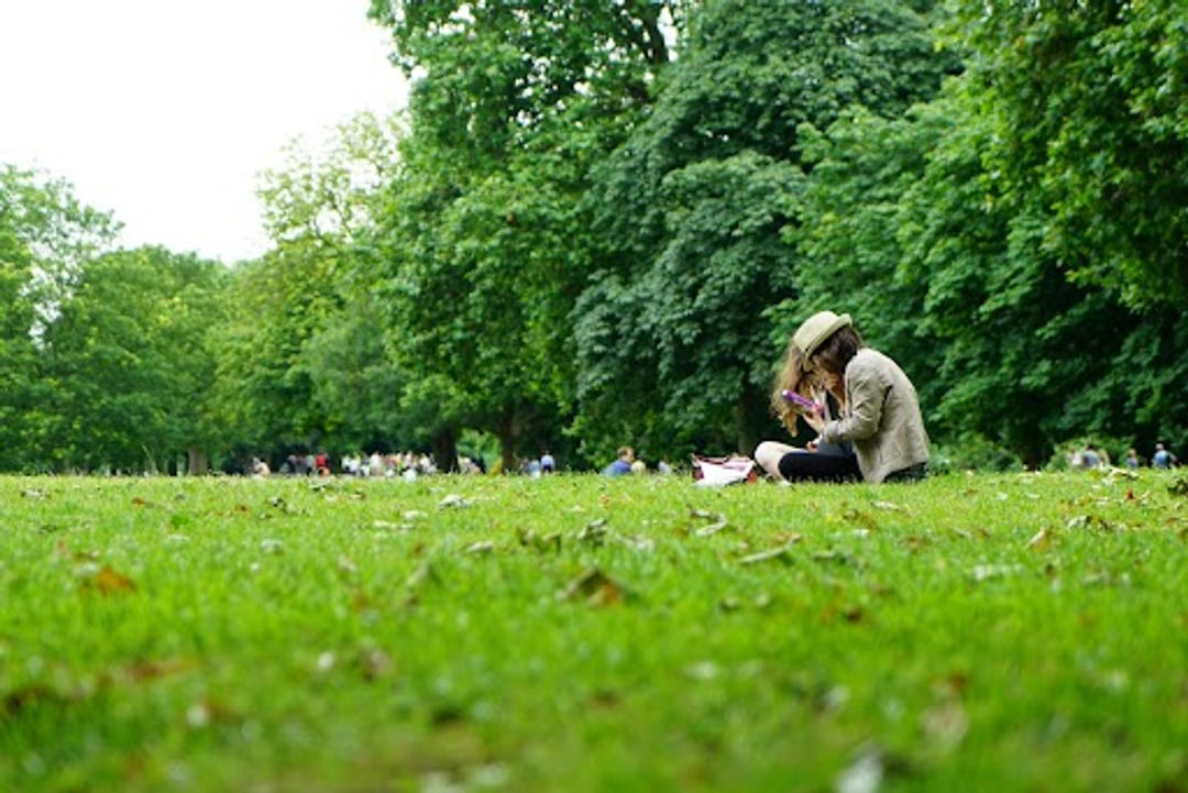 Öffnen Sie das Institutionsbild im Vollbildmodus