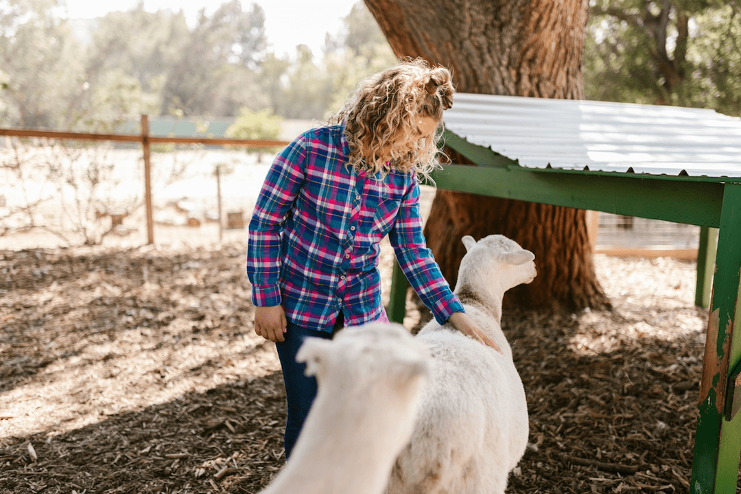 Öffnen Sie das Institutionsbild im Vollbildmodus