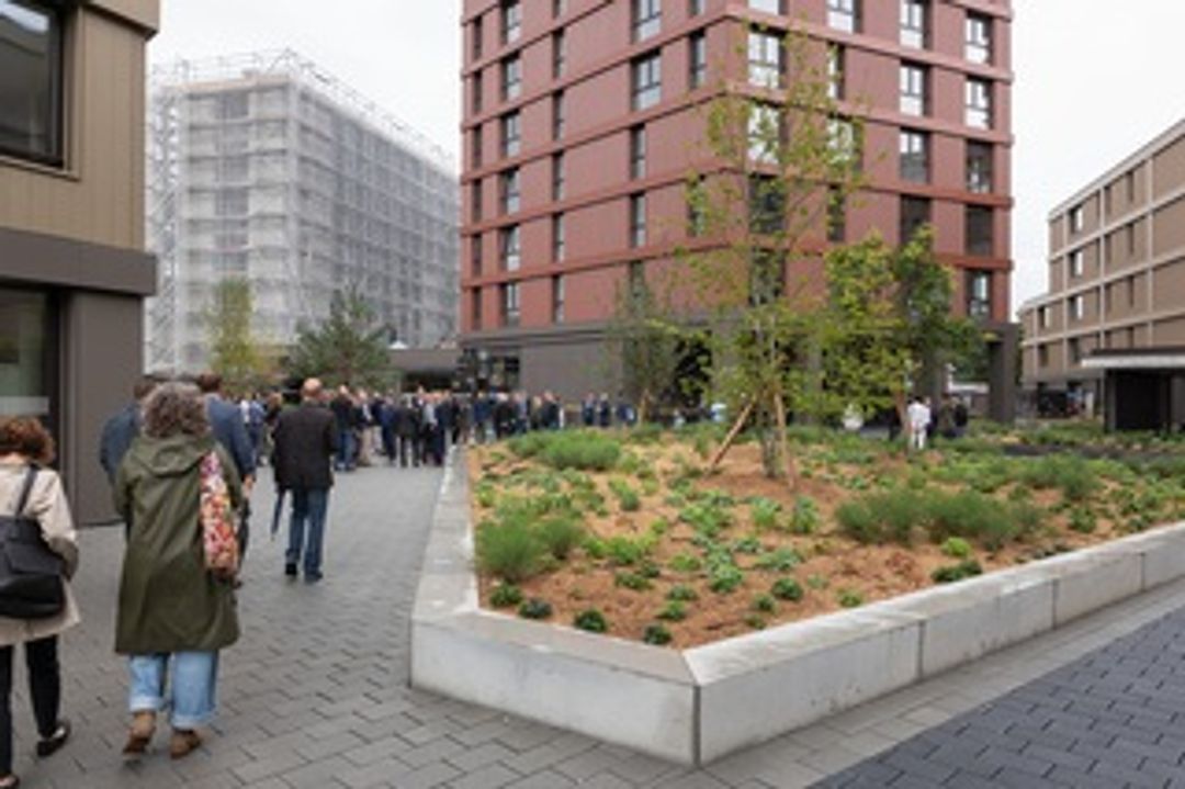 Open the institution image in full screen