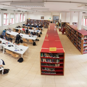 Biblioteca di Chimica "Cesare Pecile"